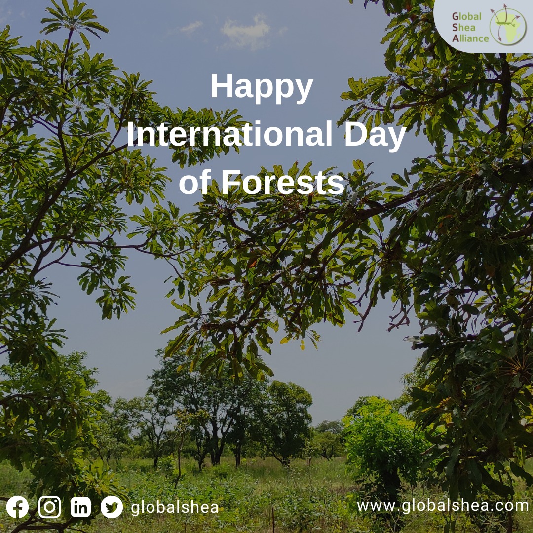 International Day of Forests, 2022